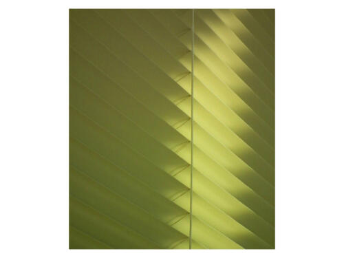 Green Shutters