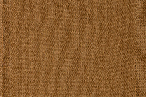 Vicuña