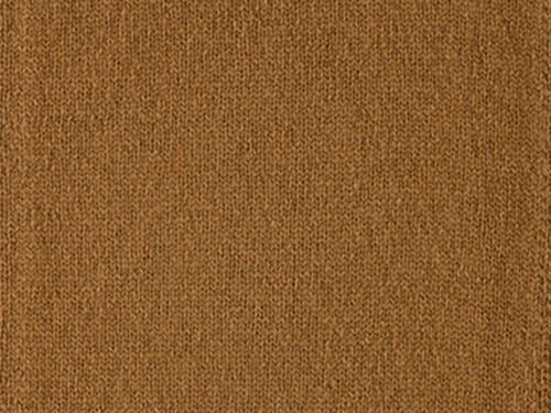 Vicuña